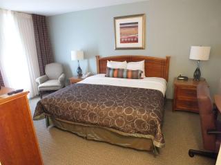 Staybridge Suites Irving Las Colinas by IHG - 4
