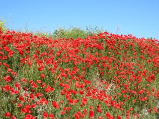 Holiday house in ouddorp with 2 bedrooms - 3