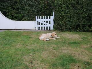 at Landal Port Greve - 3