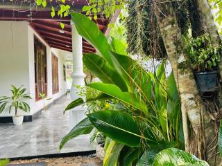 Nisha Grean Heaven - 8