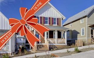 Silver Seadream by Seabrook Hospitality - 0