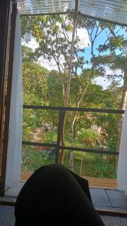 Cabaña en el Campo - 7