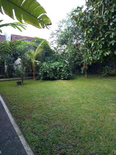 Mangosteen House - 9