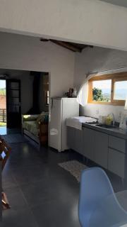 Hortelã do Campo - 4