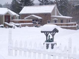 Elegant Room for a Romantic Getaway near Warren, Pennsylvania - 3