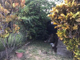 Philippe & Arlette SMITH - 4