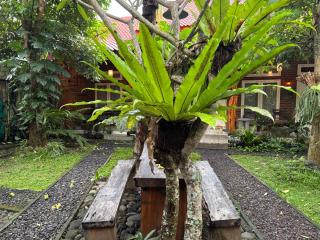 Teluk Biru Homestay - Banyuwangi - 3