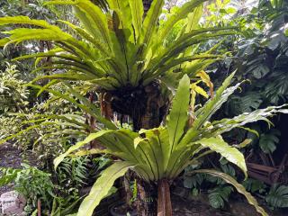 Teluk Biru Homestay - 1