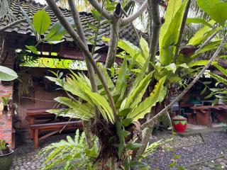 Teluk Biru Homestay - 5