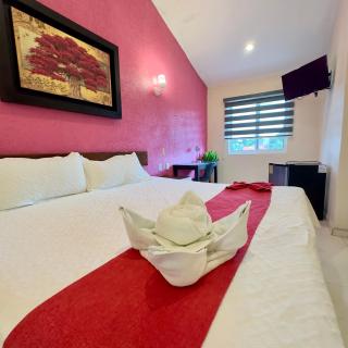 Hotel Barranquilla - 8