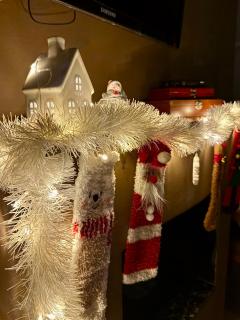 Casas Petite Province Tiradentes refúgio ao pé da Serra - 9