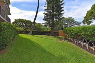 Kihei Alii Kai A207 · KAK A207 Renovated Kihei Condo Near Beach - 2