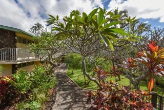 Napili Shores I270 · NS I270 OceanFront Studio w Ocean Views Poo - 4