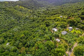 Tropical Paradise with Private Pool & Forest Views - 8