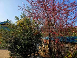 Yangyang 88 Hanok Stay - 5