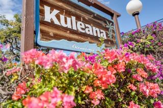 Kuleana 321 · KU 321 Spectacular Ocean Views - 1