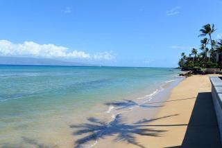 Kulakane 306 · KK 306 Remodeled BeachFront 2BD w Ocean Views AC - 2