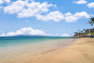 Kulakane 211 · KK 211 Updated OceanFront Whale Watching - 5