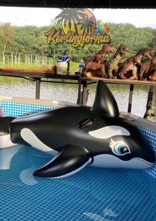 Kerlingfornia Pond View Homestay and Farmstead - 2