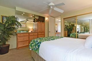 Kaleialoha 211 · KA 211 OceanFront 1BD Whale Watch Relax Getaway - 1