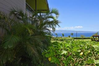 Kapalua Ridge Villas 2614 · KRV 2614 Remodeled Villa w Ocean Vie - 1