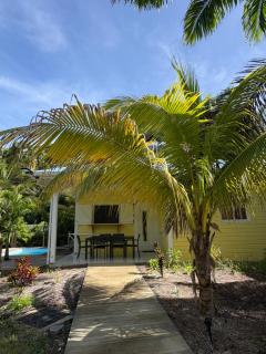 Le Paradis de la Guadeloupe - 9