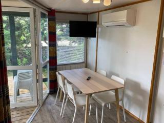Mobil home avec terrasse à Gurmençon - API-1-52-612 - 8