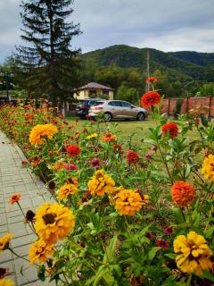 Pensiunea Silver - 7