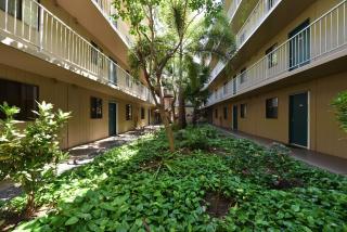 Pacific Shores A304 · PACSA304 Updated 2BD Condo w AC Near Kamao - 3