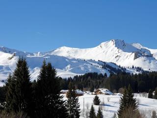Appartement lumineux avec terrasse et parking à Le Praz de Lys - FR-1-815-25 - 3