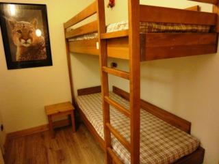 Appartement cosy 2 pièces avec parking au Praz de Lys, près des pistes - FR-1-815-41 - 5