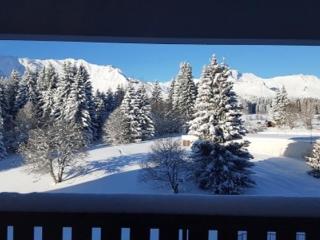 Appartement cosy 2 pièces avec parking au Praz de Lys, près des pistes - FR-1-815-41 - 4