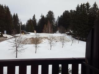 Studio cosy avec balcon au Praz de Lys, 4 pers - FR-1-815-36 - 3