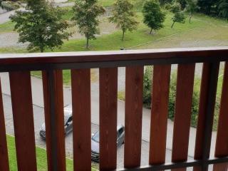 Studio cosy avec balcon au Praz de Lys, 4 pers - FR-1-815-36 - 2