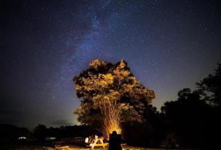 Tree House-Style Luxury Cabin in the Blue Ridge Mountains, North Carolina - 4