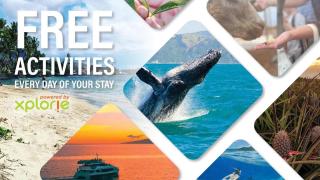 Maui Banyan H207 · MB H207 Maui Escape Near Beach, Pool & Hot Tu - 9