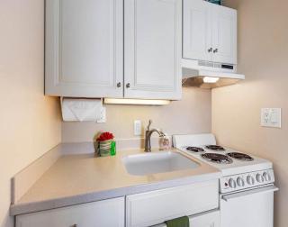 Valley Isle 407 · VI 407 BeachFront Studio w Pool - 5