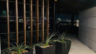 The Trendy Den - Dallas - 4