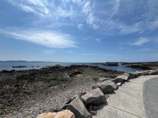 BlueWillow Retreat Sleeps 6 Private Sauna Wild Atlantic Way Near Spiddal & Galway - 2