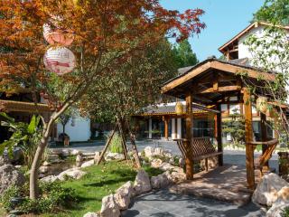 Chengdu Xiaoya Courtyard Hot Spring Retreat -- Close to Panda Base & Sanxingdui Museum- Private Hot Spring & Sichuan Cuisine - Chinese Tea Ceremony, Free Breakfast, Afternoon Tea & Goodnight Snacks - 8