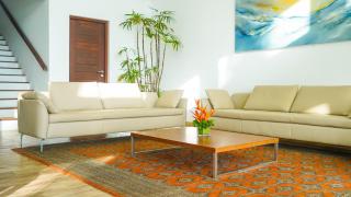 Hikka House - Thema Collection - 5