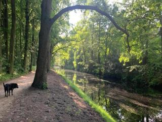 Holiday Home in Bergen near the Beach - 7