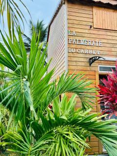 La Palmeraie du Carbet - 9