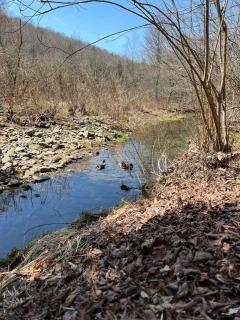 Vintage Shasta Camper for the best of NYC Glamping - 2