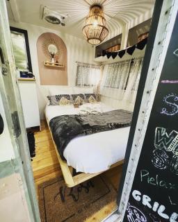 Vintage Shasta Camper for the best of NYC Glamping - 6