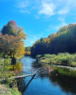 Vintage Shasta Camper for the best of NYC Glamping - 9