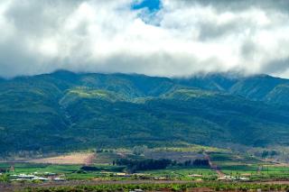 KBM Resorts Spacious 3-Bedroom Honua Kai Collection Multi Unit Listing Same Floor Ocean Views 2 Free Rental Cars HKH-52024 - 0