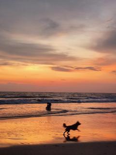 Harmonic Hideout - 4