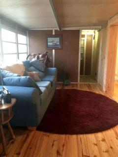 Forested Wood Cabin near Ocala National Forest in Central Florida -  - 3