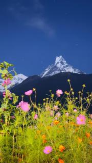 Hotel Trekkers Sanctuary Ghandruk - 8